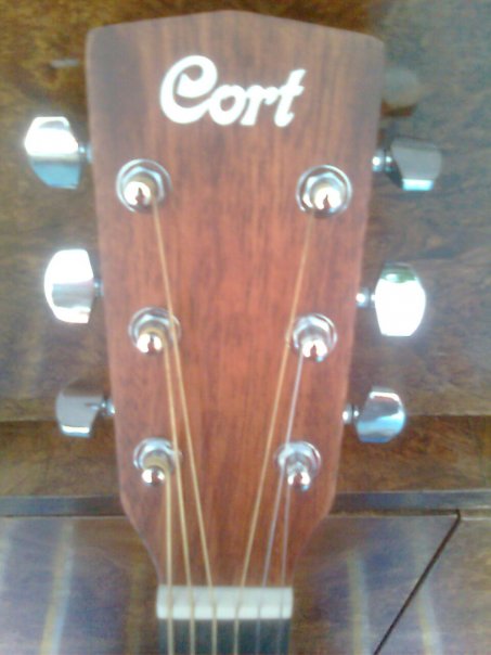 Cort2.jpg